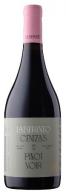 Laberinto - Pinot Noir Cenizas Colbn 2022 (750)