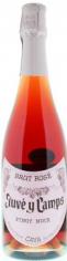 Juvy Camps - Brut Ros Cava NV (750ml) (750ml)