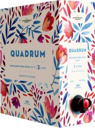 Quadrum - Red Blend Spain Boxed Wine 2020 (3L) (3L)
