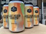 Hellbender Brewing Co - Southern Torrent Saison 0 (62)