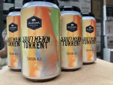 Hellbender Brewing Co - Southern Torrent Saison (6 pack 12oz cans) (6 pack 12oz cans)